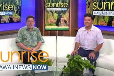 Real estate expert gives insight on how Hawaii's housing market is changing in the new year