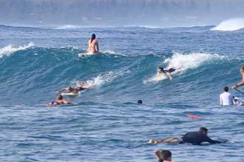 Pua‘ena Point Hawaii | From Beginner to Advanced Nose-Riding, Longboard, SUP Surfing 12/6/2025