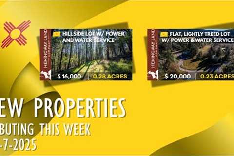 New Mexico Land For Sale - New Properties Debuting This Week, 11-07-25