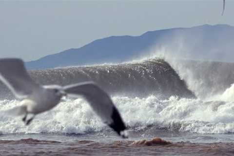 Dane Reynolds surfing a SECRET SPOT
