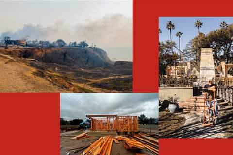 The Year L.A. Burned