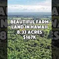 Farm land. 8.33 Acres in Hawaii for $167K #hawaii #realestate #foryou #shorts #viral #property #fyp
