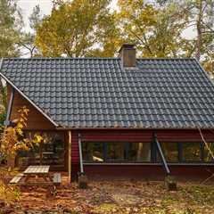 A Dutch Family’s Renovated A-Frame Cabin Doubles as a Bat Hotel