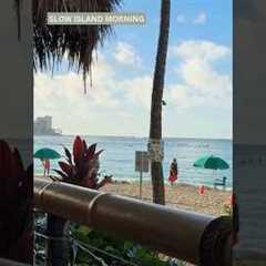 Hawaii Day 4  Beachfront Dining, Bar Hopping & a Hidden Christmas Bar