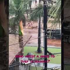 Surfing the streets of Kihei Hawaii #surfing #hawaii