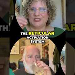 Small Steps, Big Wins: Unlock Your Power Now! #shorts