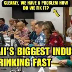 The TRUTH About Hawaii’s Tourism Decline That U S  Officials Won’t Say Out Loud