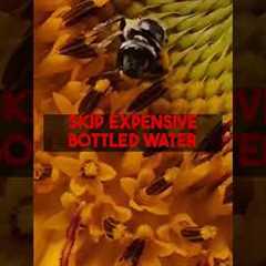 Maximize Hawaii Savings Ahead of Lodging Tax Changes