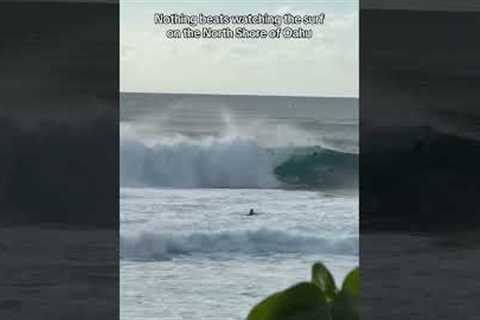 Watching perfect waves on the north shore of Oahu 🌊 #surf #surfing #waves #bigwaves #swell