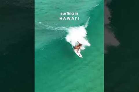Sunny sand bar days 🏄🏼‍♀️: 🚁: #surf #surfing #surfers #hawaii #paradise #northshore #oahu