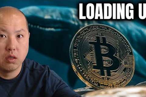 Bitcoin Whales Are Loading Up Right NOW