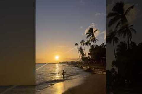 Hawaiian Food 🍴🌺🏝️✨ #hawaii #trip #vlog #japan #travel #vacation #sunset