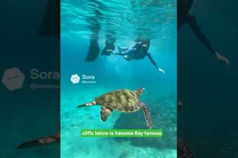 Hawaiian vacation #shorts #vacation #hawaii