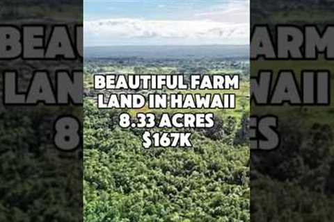 Farm land. 8.33 Acres in Hawaii for $167K #hawaii #realestate #foryou #shorts #viral #property #fyp