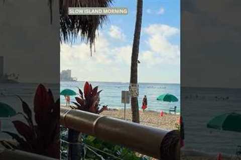 Hawaii Day 4  Beachfront Dining, Bar Hopping & a Hidden Christmas Bar