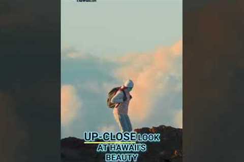 Hawaii Without Crowds: Authentic Tours by Daniels Hawaii #shorts