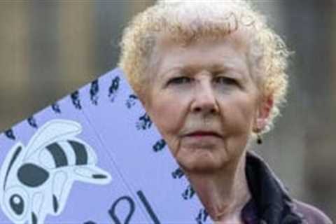 Ministers again reject Waspi compensation claims after fresh review