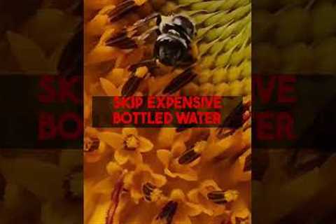 Maximize Hawaii Savings Ahead of Lodging Tax Changes