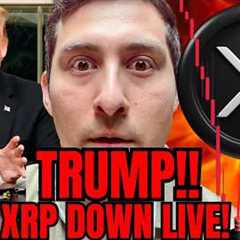 XRP WATCH! TRUMP SPEAKS LIVE NOW. Crypto News