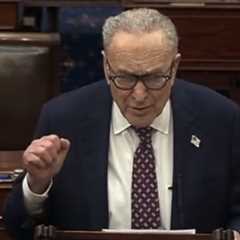 WATCH: Chuck Schumer LOSES IT in Senate Floor Rant About Trump’s State of the Union – “It was Donald Trump’s State of Delusion… This man is an inveterate liar!”