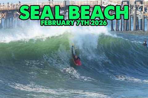Seal Beach GOING OFF! (February 7th 2026)