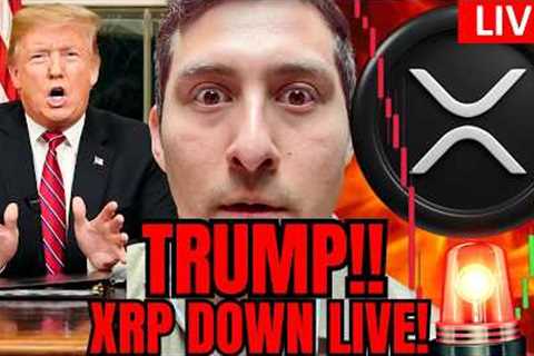 XRP WATCH! TRUMP SPEAKS LIVE NOW. Crypto News
