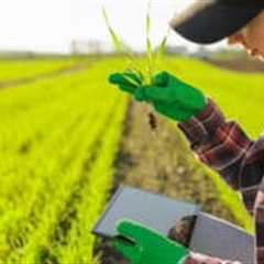Bindbridge raises $3.8m to fight herbicide resistance with AI-designed crop protection