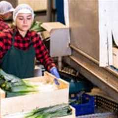 Anchr raises $5.8M to bring AI-native automation to America’s food supply chain