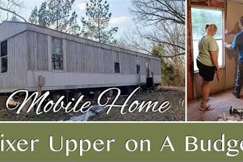 Turning a Single Wide Fixer-Upper Into a Cozy Mobile Home (On a Budget)