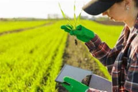 Bindbridge raises $3.8m to fight herbicide resistance with AI-designed crop protection