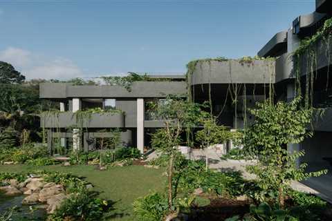 Gardens Grow Inside and Out of This Wild Singapore Home