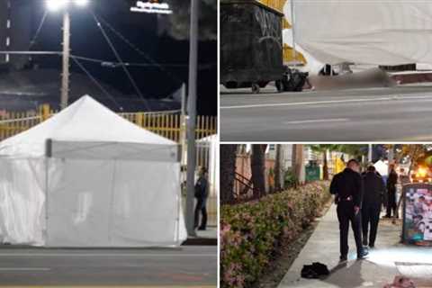 Horror in Los Angeles: Man Dies from Gruesome Self-Mutilation, Including Cutting Off His Own Penis, on Busy Downtown Street