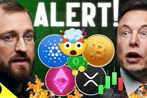 HUGE! CRYPTO IN 401KS MAKES PROGRESS! CARDANO MIDNIGHT LIVE & ELON MUSK BITCOIN!