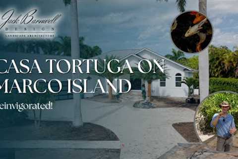 Marco Island landscape renovation~ In the works! 