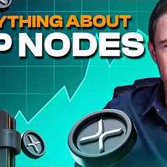 XRP Activity Is Rising | What It Means for the Network