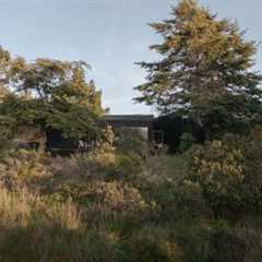 Douglas Firs Are the Main Characters at This Sea Ranch Home Built by Four Friends