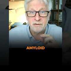 Your brain cleans itself… while you sleep.