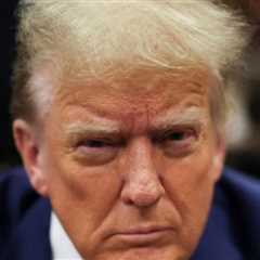 Trump Pushes Skeptical House Republicans to Pass FISA Extension: ‘It Is Extremely Important to Our Military’