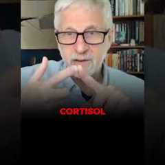 Insulin stores excess glucose as belly fat