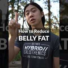How to Lose Belly Fat
