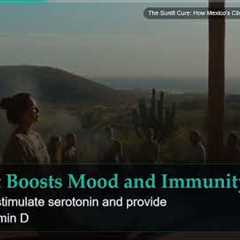 The Sunlit Cure: How Mexico's Climate Supports Natural Healing