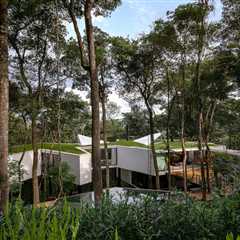 This 5,382-Square-Foot Home in Brazil Weaves Through the Forest on a Network of Piles