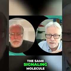 Foods That Spark Arousal: The Histamine Connection! #shorts