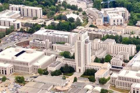 Team Trump Issues Stinging Response After Online Leftists Spread a Big Lie About the President and Walter Reed Military Medical Center