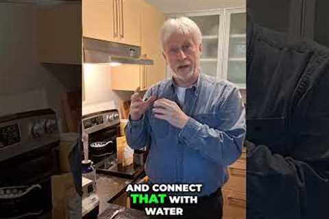 Boost Your Smoothie: The Secret Fat & Structured Water Hack! #shorts