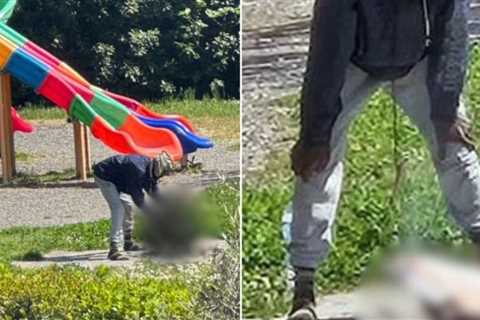 Outrage in Italy: Nigerian Migrant Arrested After Killing and Cooking Cat on Makeshift BBQ Next to Children’s Playground