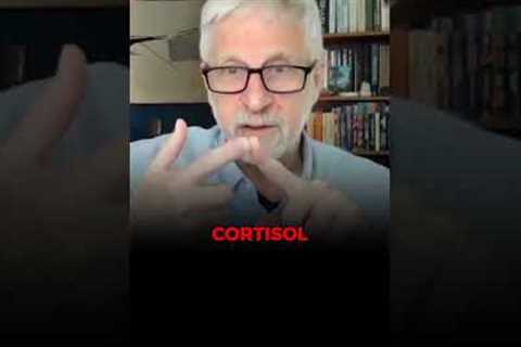 Insulin stores excess glucose as belly fat