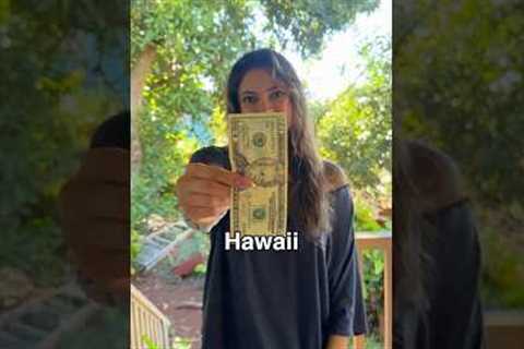 What Can I Get in Hawaii for $20?🌺 #travel #hawaii #budget