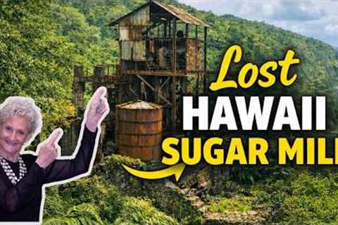 The Lost Sugar Mill of Hawaii | Big Island History, Oceanfront Land & Future Vision