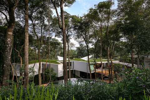 This 5,382-Square-Foot Home in Brazil Weaves Through the Forest on a Network of Piles